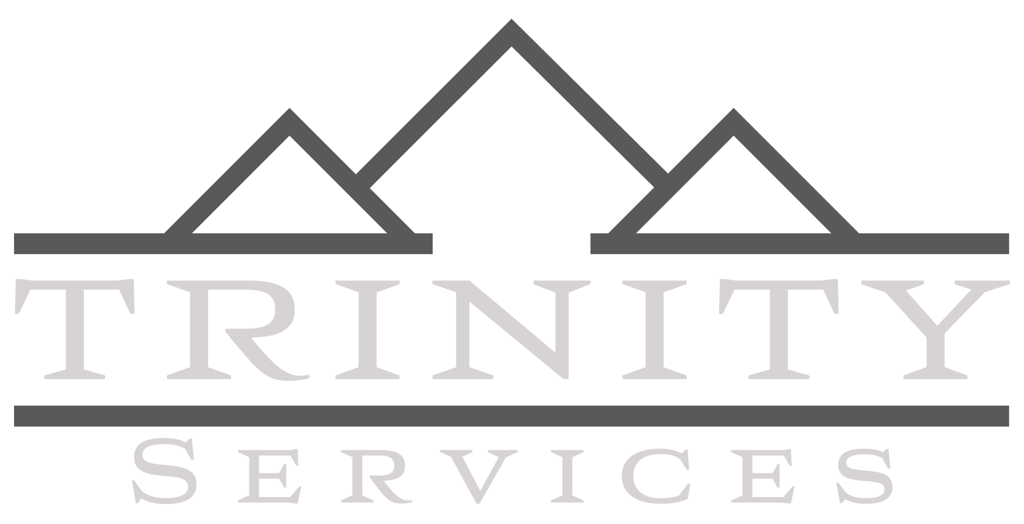 TRINITY_SERVICES_LIGHT